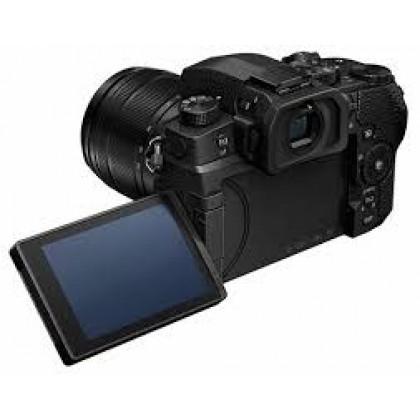 B030 LUMIX DMC-GX7 12-32mm シャッター268回 Panasonic Lumix DC-G95 with 12-60mm Lens +32GB +Bag (Import