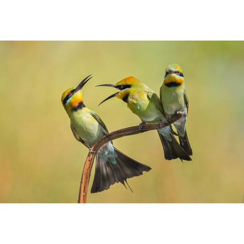 Nikon Z8 Mirrorless Camera Body Only Camera2u Malaysia Top Camera